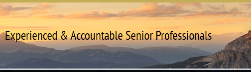 Experienced and Accountable Senior Professionals