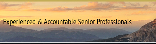 Mentor Group, Inc. Accountable Senior Professionals